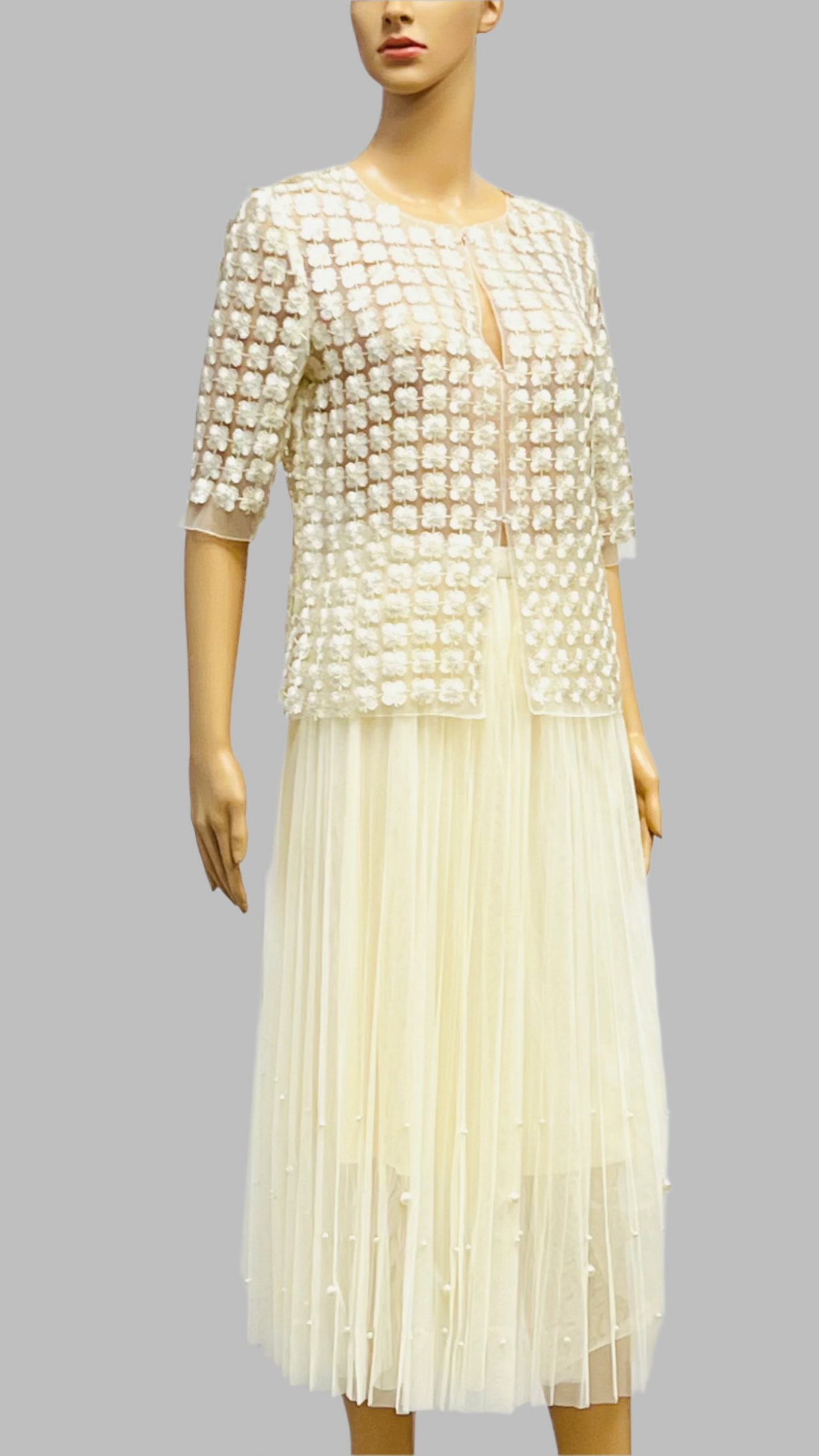 Fairy pleating mesh Skirt with vary size Pearls at hem (Cream)