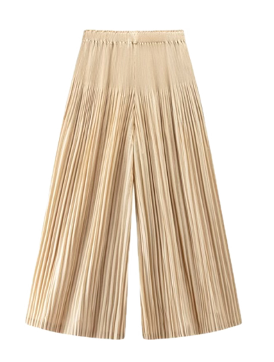 Pleated Pants  (Apricot)