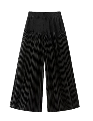 Pleated Pants (Black)
