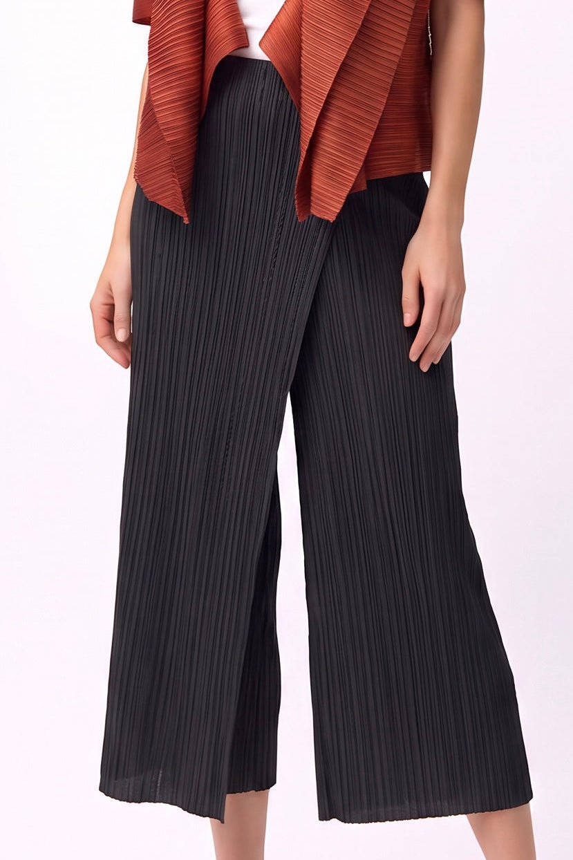 Pleated Pants with Pockets+Overlay front  (Black)