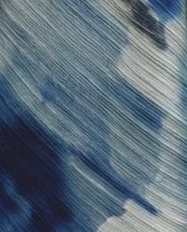 Pleated Sleeve Dress