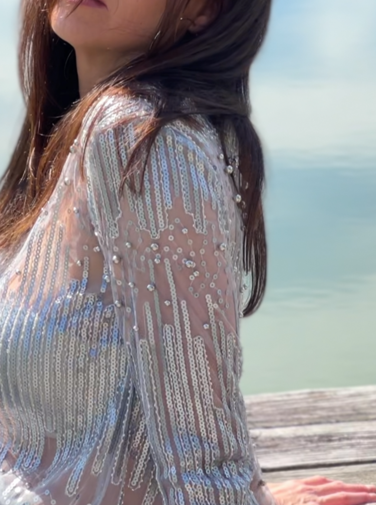 Beads&sequin embroidered on mesh long sleeve blouse (Silver)