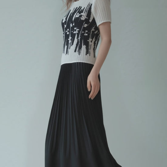 Pleated Sleeve Dress